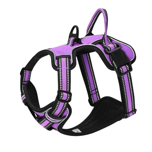 Comfort Fit Nylon Dog Harness with Leash - Adjustable, Reflective & No-Pull Design