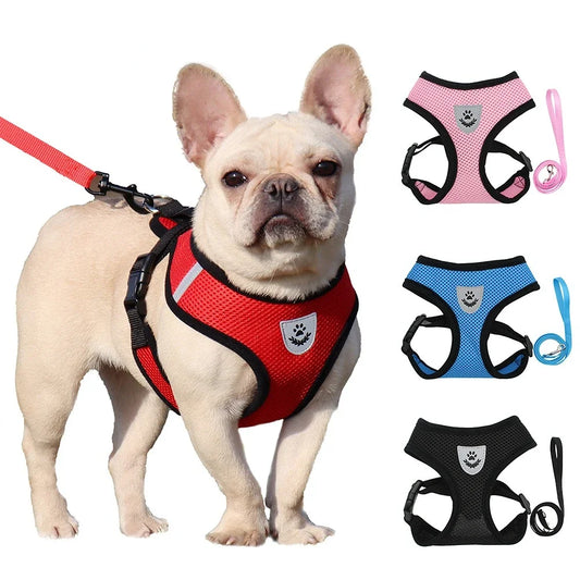 Adjustable Reflective Pet Vest Harness & Leash Set - Breathable Mesh for Small Dogs & Cats